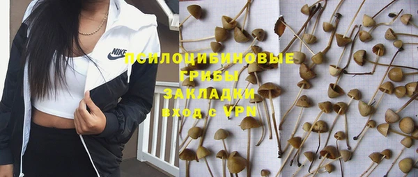 скорость Арсеньев