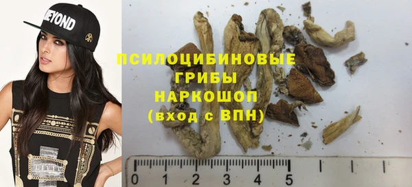 скорость Арсеньев